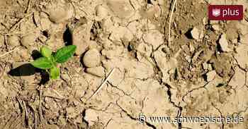 Wassersparen: Tipps vom Bund Naturschutz Lindau - Schwäbische