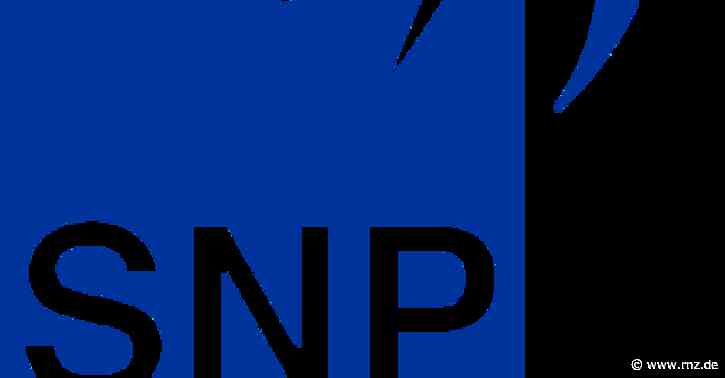 Wachstum:  Heidelberger SNP erwartet sattes Plus