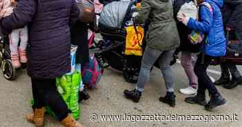 Profugo da San Pietroburgo a Bari: «Io, traditore in Russia per il no alla propaganda» - La Gazzetta del Mezzogiorno