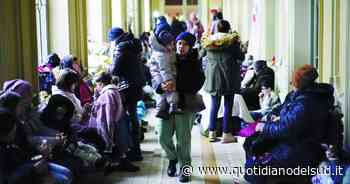 Accoglienza agli ucraini: il Comune di Bari cerca interpreti e mediatori - Quotidiano del Sud