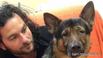 Marley 'super cane' non vedente: abbandonato a Bari, ha trovato casa in Toscana ed è diventato una star sui social - La Repubblica