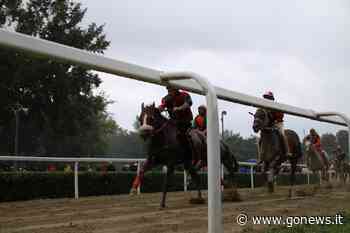 Palio di Fucecchio, aperte pre-iscrizioni. Si correrà il 22 maggio - gonews