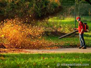 Ottawa council's environment committee supports phaseout of gas-powered lawn gear - Ottawa Citizen