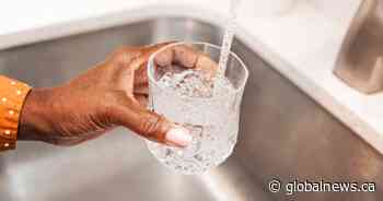Why does Edmonton’s water smell a bit funky? - Global News