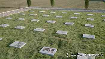 CIMITERO ANIMALI D'AFFEZIONE, IL MOVIMENTO 5 STELLE DI TERMOLI INTERROGA IL SINDACO - Molise Web