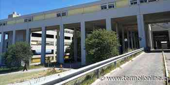 Sanità commissariata, in 10 anni perso il 26% del personale in corsia - Termoli Online