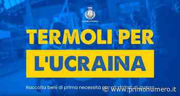 Gara di solidarietà a Termoli per l’Ucraina, l’elenco delle associazioni per raccolta beni - Primonumero