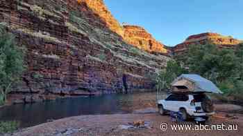 Bill to deter 'idiotic' influencers from asbestos-riddled town passes parliament