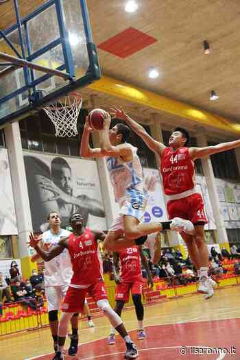 Basket C Gold, tutti i prossimi appuntamenti dell'Az Robur Saronno - ilSaronno