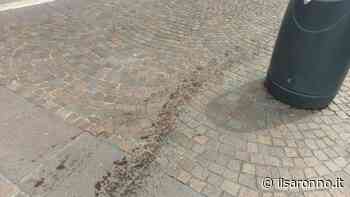 Saronno, scia d'olio sotto i portici… chi l'ha rovesciato? - ilSaronno