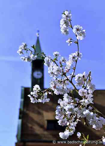 Frühlingsgefühle in der Stadt - Lahr - Badische Zeitung
