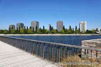 So soll der Lahrer Stegmattensee abgedichtet werden - Lahr - Badische Zeitung