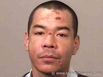 Police arrest man wanted in stabbing, assault and robbery - Sarnia and Lambton County This Week
