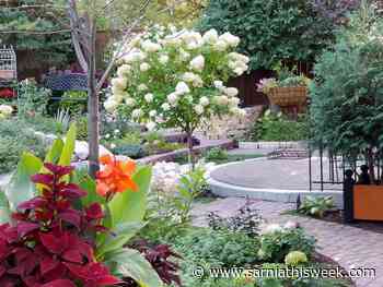 This is the Year of the Garden | Sarnia & Lambton County This Week - Sarnia and Lambton County This Week