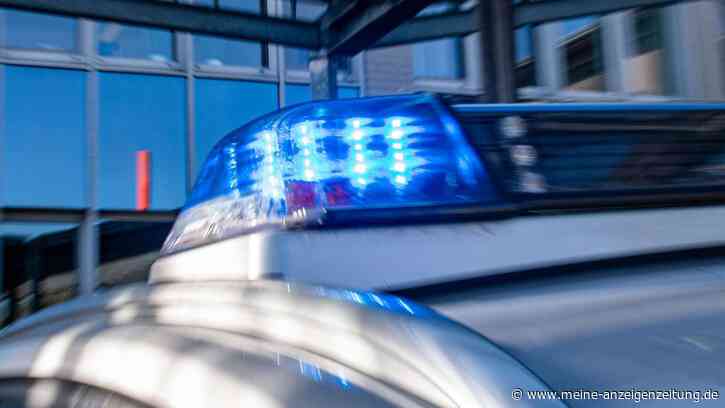 14 Hundewelpen entdeckt: Polizei stoppt illegalen Transport