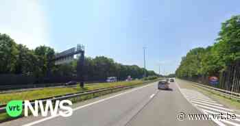 Bomen langs E313 in Lummen gevaarlijk voor verkeer: slechte exemplaren worden mogelijk gerooid - VRT NWS