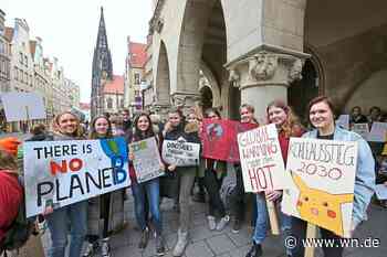 5000 Menschen zum Klimastreik in Münster erwartet