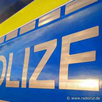 Mann wirft mit Steinen auf Polizeiauto - radiorur.de