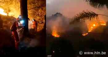 Al meer dan 37 hectare bos in as: man onder invloed verdacht van brandstichting in Mexico - Het Laatste Nieuws