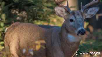 Fee hikes for Sask. hunting, trapping and fishing licences a 'kick in the teeth': industry rep