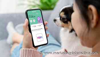 Singtel Dash is giving its users free money when they 'adopt' its pet - Marketing Interactive