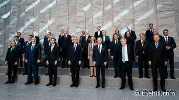 NATO summit to address Russia's invasion of Ukraine underway