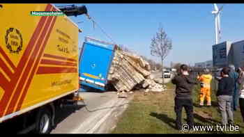 Aanhangwagen met kippen kantelt in Maasmechelen - TV Limburg