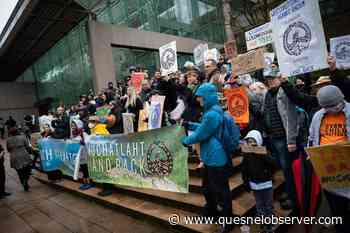 B.C. government disputes land claim by First Nation on Vancouver Island - Quesnel - Cariboo Observer