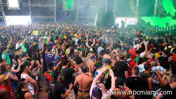 Music Lovers Rejoice: Ultra Music Festival Returns to Miami Starting Friday