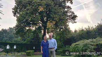 Heeft Maarten uit Maasniel de mooiste boom van Europa? - 1Limburg | Nieuws en sport uit Limburg