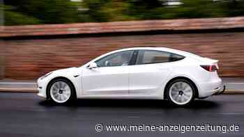 Tesla Model 3: Bremst der Stromer auch für Hunde und Katzen?