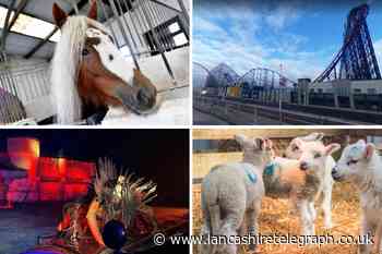 7 things to do in Lancashire this weekend