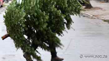 Tannenbaumabholung in Dissen am 8. Januar 2022 - NOZ
