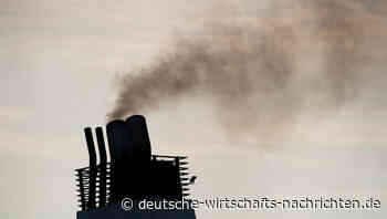 Rechnungshof: Milliarden-Verschwendung mit wirkungsloser Klimapolitik