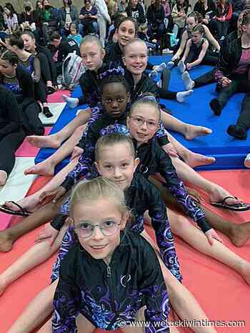 Precision gymnasts land medals at Salto Challenge - Wetaskiwin Times Advertiser