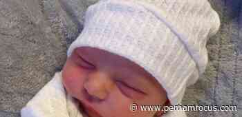 Max William Renfrew - Perham Focus