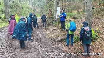Vereine in Calw: Schwarzwaldverein stellt sich der Neupositionierung