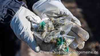 1,5 Kilo Marihuana sichergestellt: Mutmaßliche Dealerin sitzt in Haft