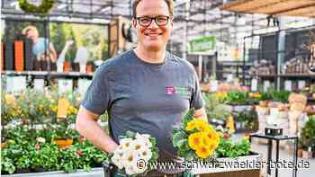 Frust auf die Stadt: Blumenhändler kehrt nach Jahrzehnten dem Nagolder Wochenmarkt den Rücken