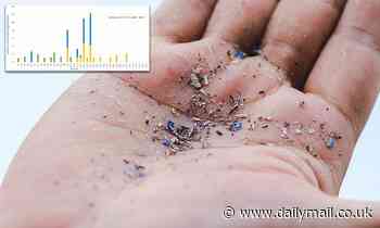 Microplastics found in human BLOOD for first time