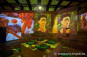 Frida Kahlo verovert Brussel met twee expo's: wat maakt haar zo geliefd? - Weekend Knack