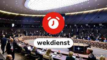 Wekdienst 24/3: Dag vol topoverleg in Brussel over Oekraïne • Keukenhof weer open - NOS