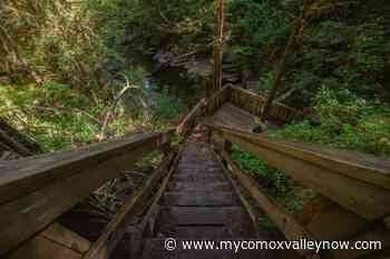 Explore: Little Huson Cave Regional Park - My Comox Valley Now