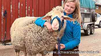 Schäferei in Wildberg: Schäfer im Stadtgebiet setzen lange Tradition fort