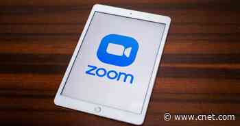 Zoom Update Adds Livestreaming to Twitch, Animal Avatars and More     - CNET