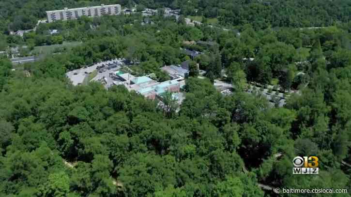 Brave Beginning: Exploring The Roots Of Baltimore’s Mt. Washington Pediatric Hospital