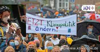 Darum wollen die Klimaaktivisten demonstrieren