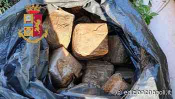 Trovati 23 chili di erba nel campo incolto, il mega sequestro - Edizione Napoli