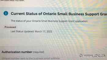 Hamilton businesses say Ontario's latest round of COVID grants is slow and confusing