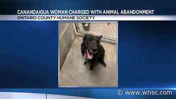 Canandaigua woman charged with animal abandonment